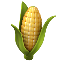 Maíz