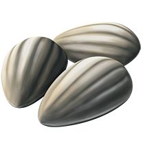 Semillas